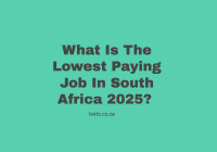 What Is The Lowest Paying Job In South Africa 2025? 